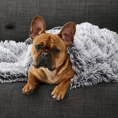 Snooza – Calming Cuddler Blanket – Chinchilla & Silver Fox Pet blanket Snooza