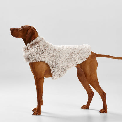 Snooza Wear – Shag Coat – Mink Dog Apparel Snooza Large