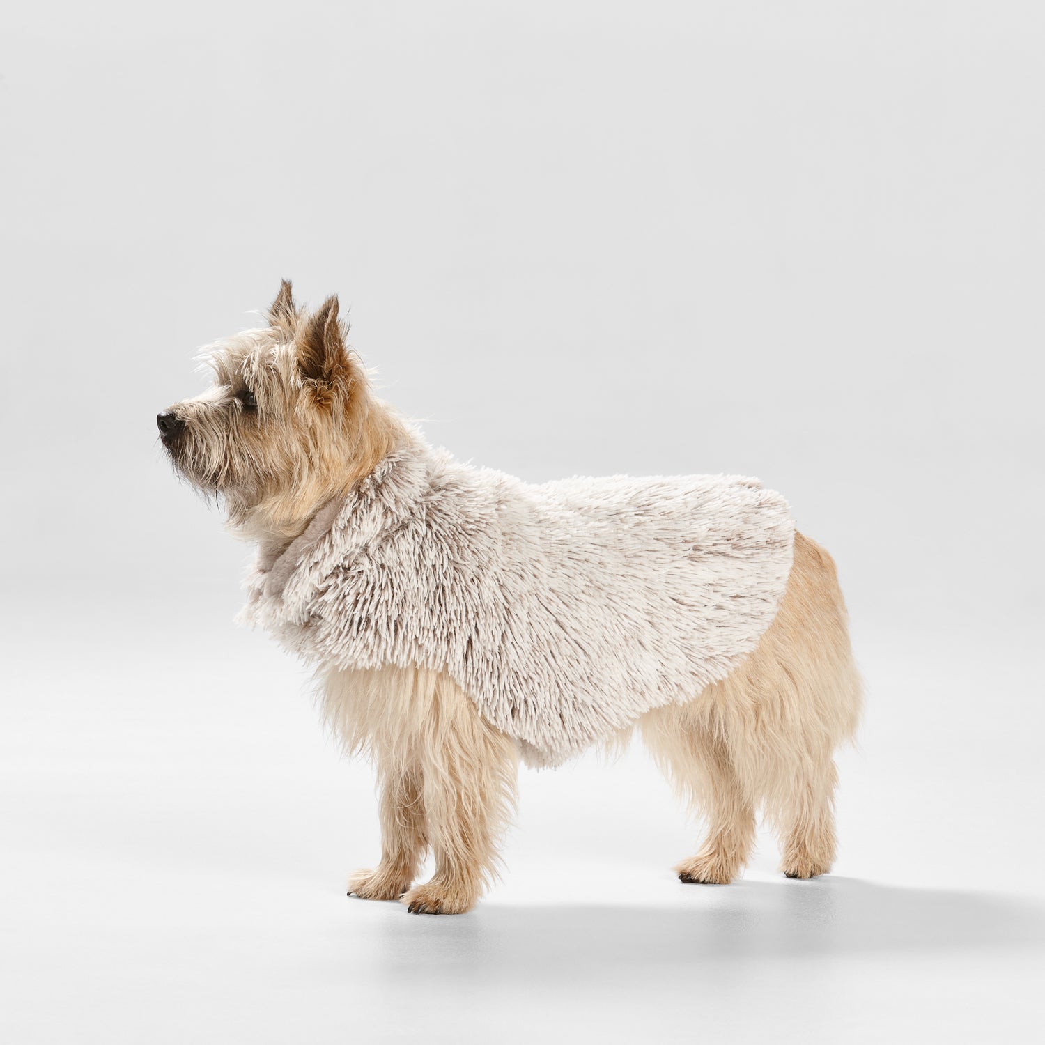Snooza Wear – Shag Coat – Mink Dog Apparel Snooza Medium