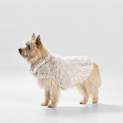Snooza Wear – Shag Coat – Mink Dog Apparel Snooza Medium