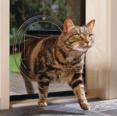 Transcat Clear Dog Door - Cat Door - LargeWoofy and Whiskers