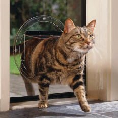 Transcat Clear Dog Door - Cat Door - Large Pet Door Transcat Small