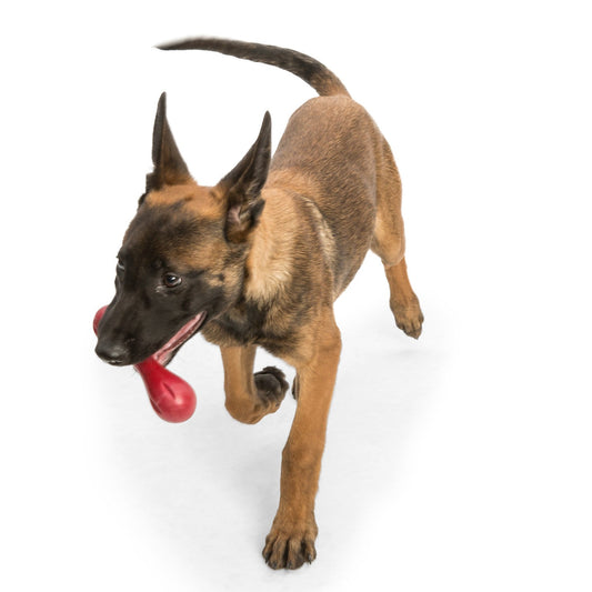 West Paw Hurley Fetch Toy for Tough Dogs - Ruby RedTough dog toyWoofy and Whiskers