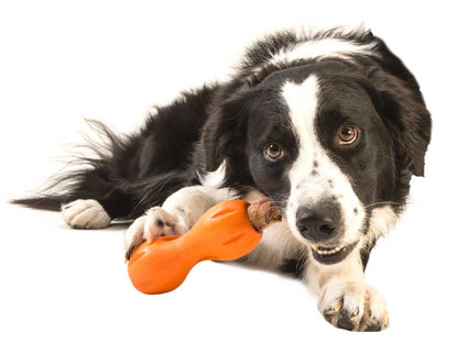 West Paw Qwizl Treat Dispensing Dog Toy - Treat Dispensing Dog Toy Dog toys West Paw Design Orange Small