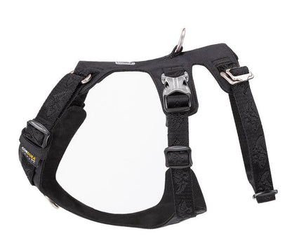 Whinhyepet Harness Purple XL Pet Care > Dog Supplies WINHYEPET Large Black