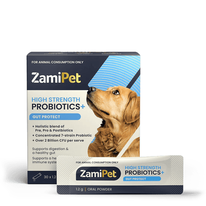 ZamiPet – High Strength Probiotics+ Pet Vitamins & Supplements Zamipet ZamiPet - High Strength Probiotics+ Gut Protect - 30 x 1.2g Oral Powder