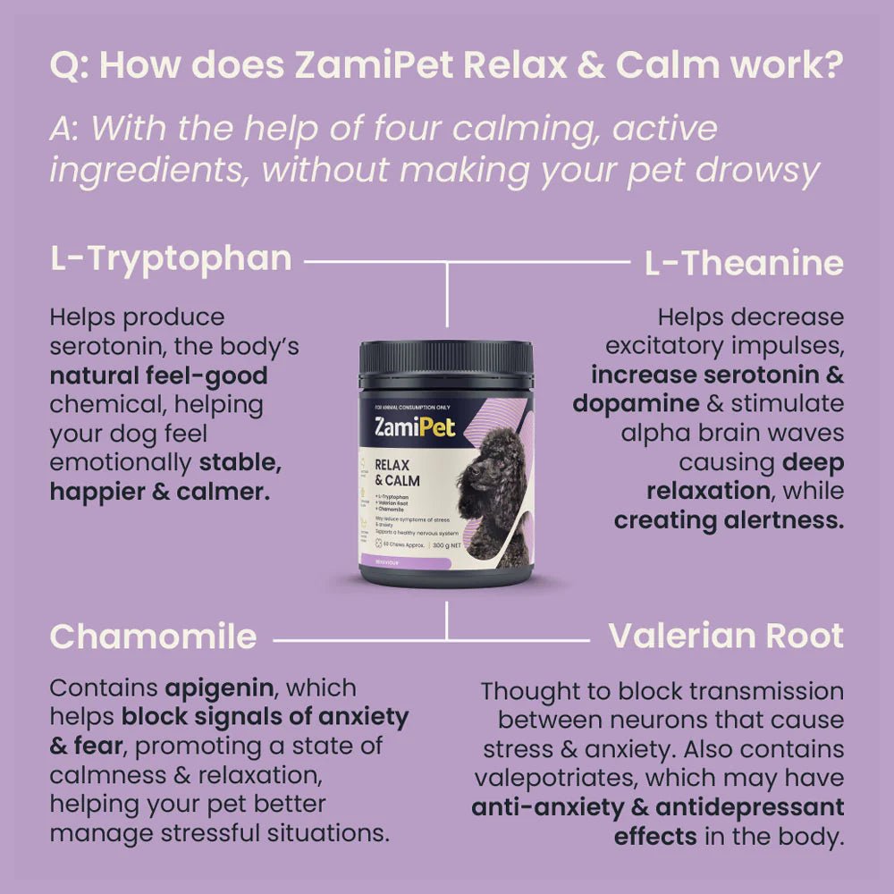 ZamiPet – Relax & CalmWoofy and Whiskers