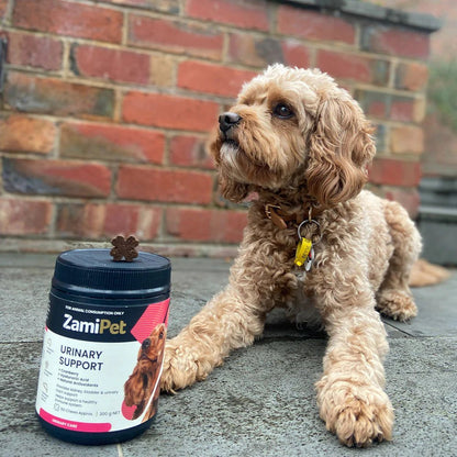 ZamiPet – Urinary Support Pet Vitamins & Supplements Zamipet